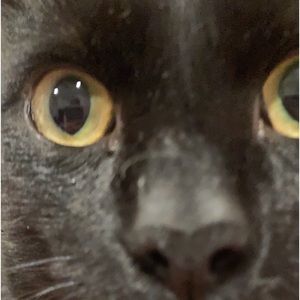 Meet your Posher, Mia